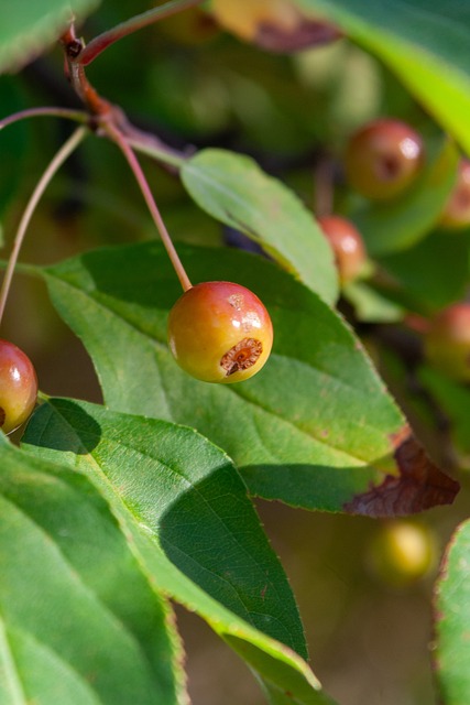 两项不可妥 两项不可妥