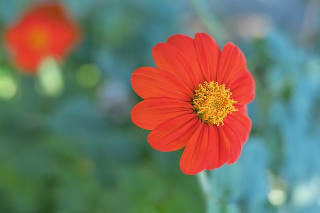 时尚与文化 时尚与文化