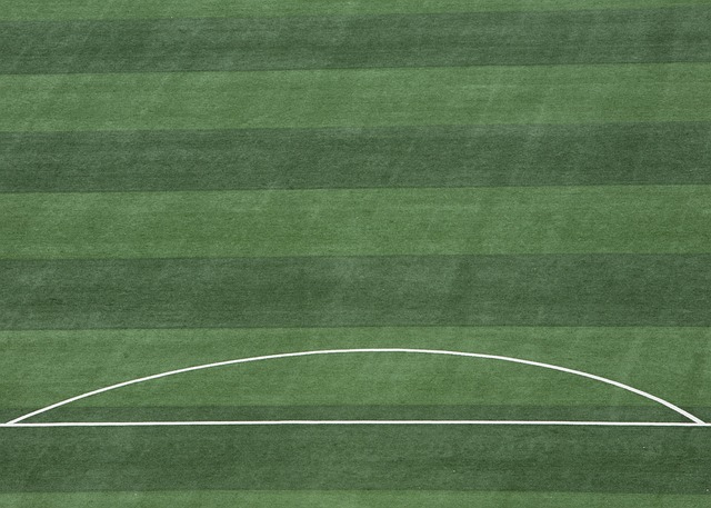 来更广泛的 来更广泛的