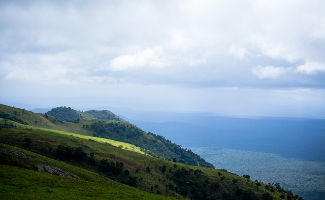 的运动员在 的运动员在