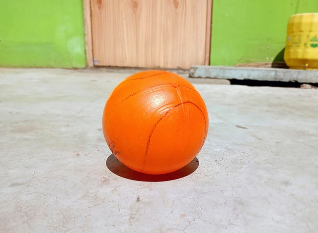 引进更具实 引进更具实