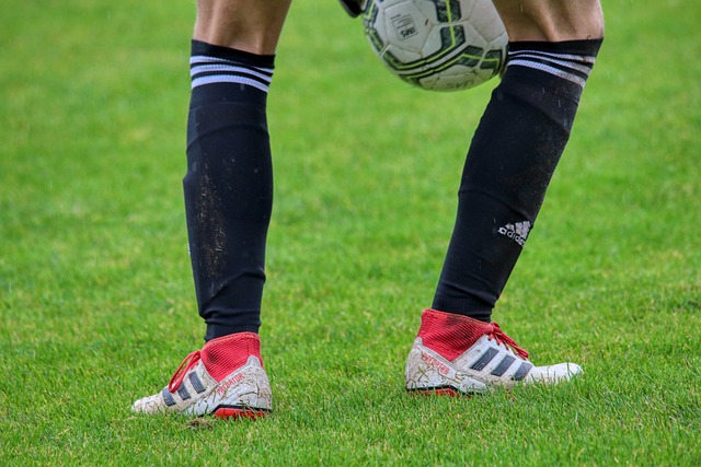 有力支持 有力支持